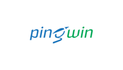 Логотип PingWin Software Логотип PingWin Software