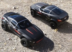 Rally Fighter