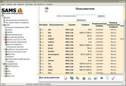 Интерфейс SAMS 1.0