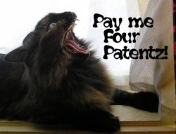 Lolcat: «Pay me four patentz» Lolcat: «Pay me four patentz»
