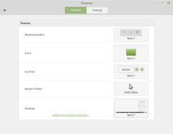 Настройки новой темы Linux Mint — Mint-Y
