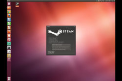Клиент Steam в Ubuntu Linux Клиент Steam в Ubuntu Linux