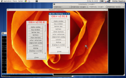 GTK-приложение в X и Wayland GTK-приложение в X и Wayland