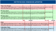 PT Astra Sans и PT Astra Serif — свободные шрифты от Astra Linux и «ПараТайп», заменяющие  Times New Roman