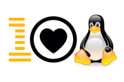 IBM начинает обучать программистов работе в Linux на Power Server