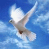 Аватар пользователя ffldove