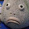 Аватар пользователя sashakrasnoyarsk.ru Аватар пользователя sashakrasnoyarsk.ru
