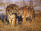 Scott Tiger